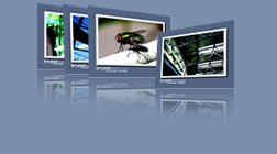 artwork & fotografie